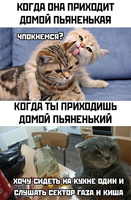 Шутки и мемы про алкоголь после прошедших выходных (15 фото) Шутки и мемы про алкоголь после прошедших выходных (15 фото)