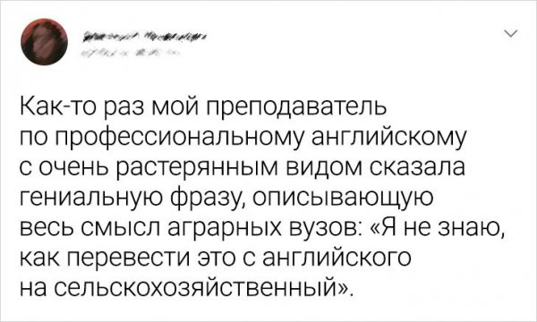 Подборка забавных твитов об изучении иностранных языков (19 фото)