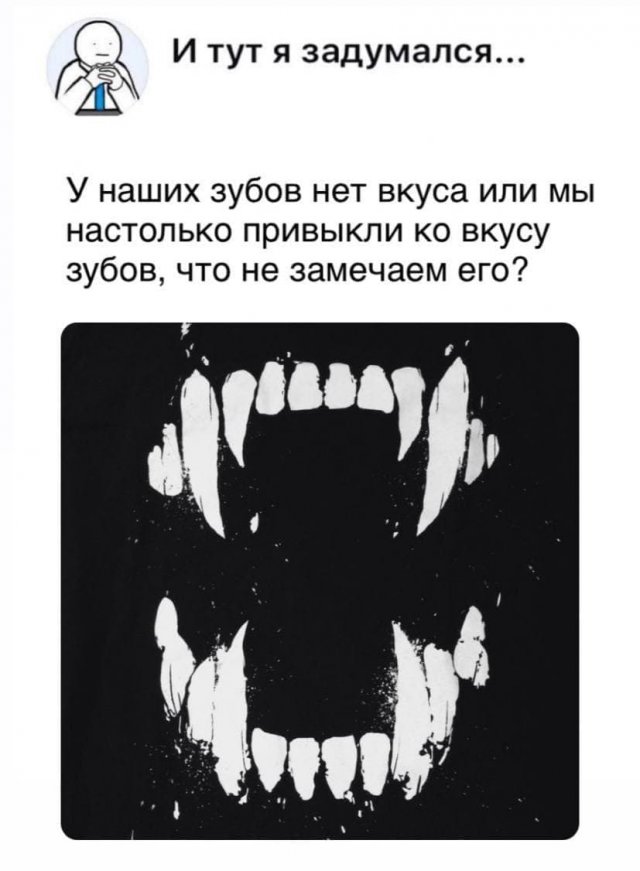 Философские вопросы, на которые непросто найти ответ (15 фото)