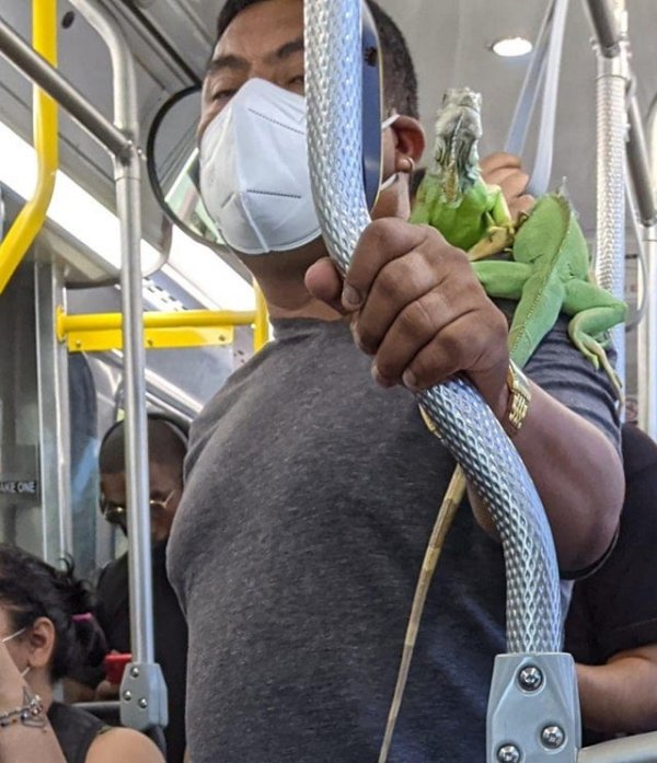 Необычные персонажи и ситуации в метро (18 фото)