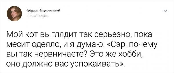 Подборка забавных твитов о домашних питомцах (20 фото)