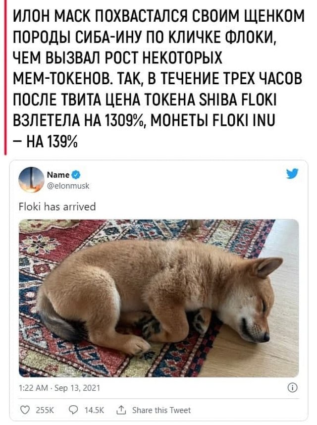 Шутки и мемы от инвесторов (15 фото)