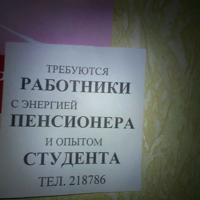 Странные и смешные объявления и вывески (15 фото)