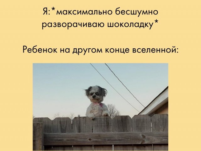 Шутки и мемы, понятные молодым родителям (15 фото)