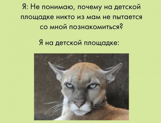 Шутки и мемы, понятные молодым родителям (15 фото)