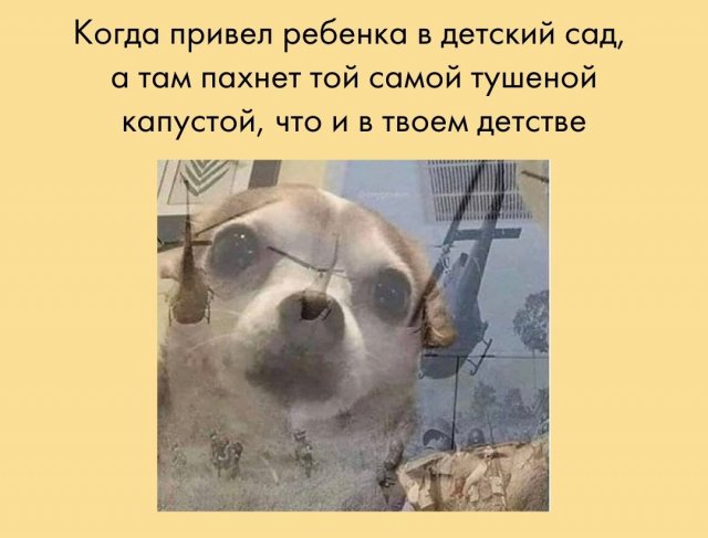 Шутки, мемы и приколы, понятные современным родителям (15 фото) Шутки, мемы и приколы, понятные современным родителям (15 фото)