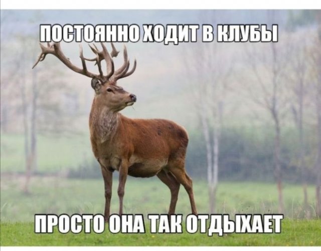 Приколы про отношения и современных девушек (15 фото)