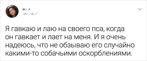 Подборка забавных твитов о домашних питомцах (20 фото)