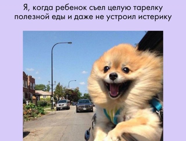 Шутки и мемы, понятные молодым родителям (15 фото)