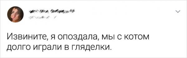 Подборка забавных твитов о домашних питомцах (20 фото)