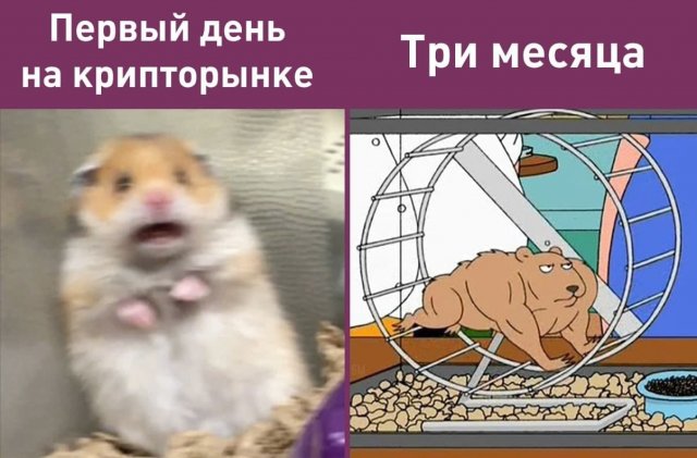 Шутки и мемы от типичного инвестора (15 фото)