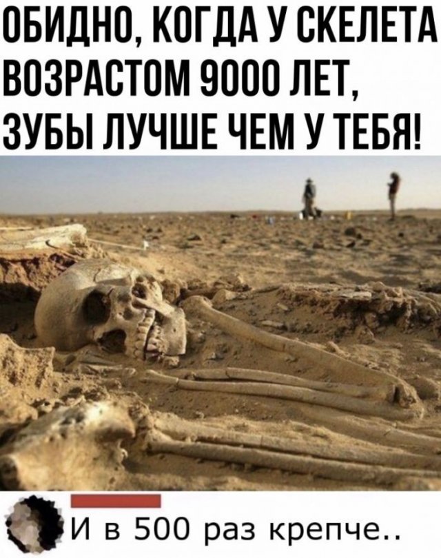 Смешные комментарии к постам в социальных сетях (15 фото)