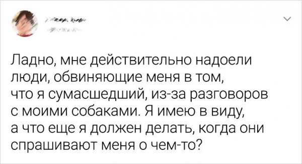 Подборка забавных твитов о домашних питомцах (20 фото)