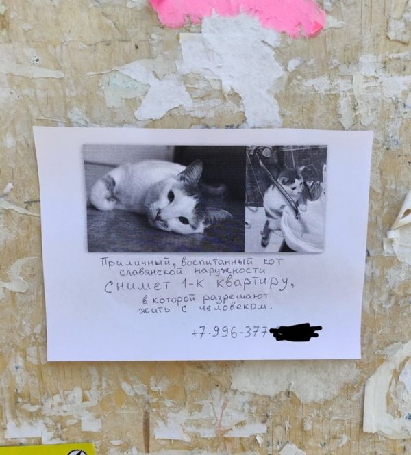 Подборка забавного и креативного маркетинга (15 фото) Подборка забавного и креативного маркетинга (15 фото)