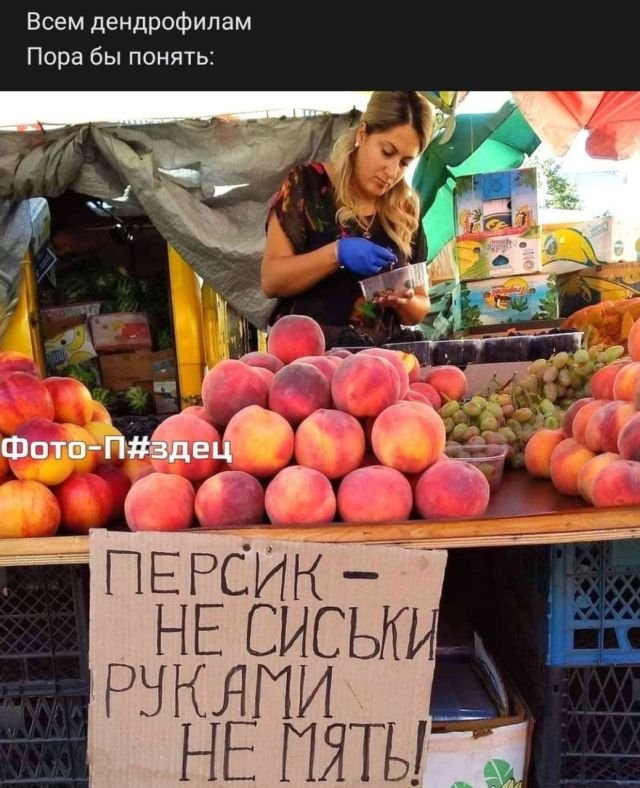 Рифмы из социальных сетей (15 фото)