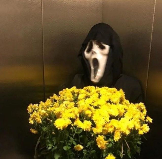 Фотографии из серии "Что здесь происходит?" (15 фото)