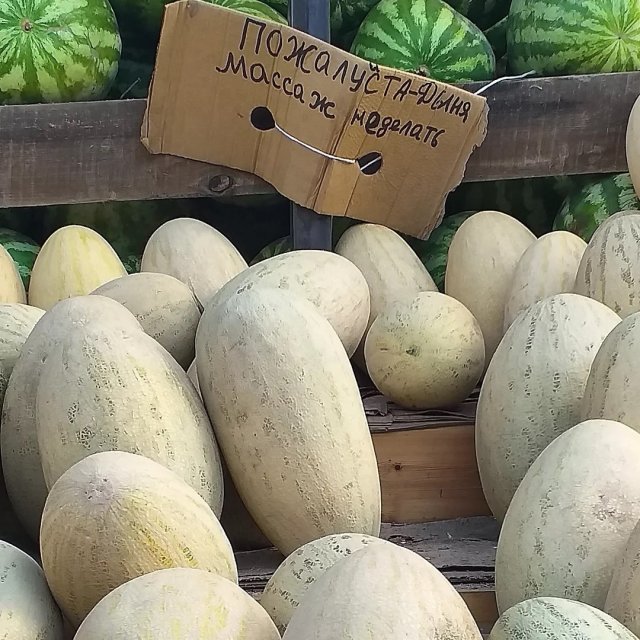 Странные и смешные объявления и вывески (15 фото)