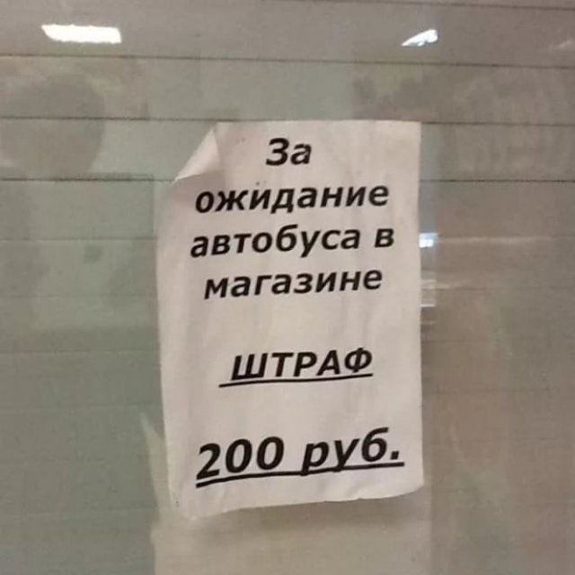 Странные и смешные объявления и вывески (15 фото)