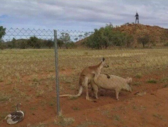 Фотографии из серии "Что здесь происходит?" (15 фото)
