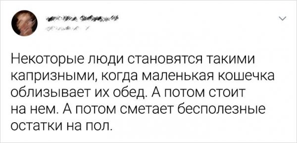 Подборка забавных твитов о домашних питомцах (20 фото)