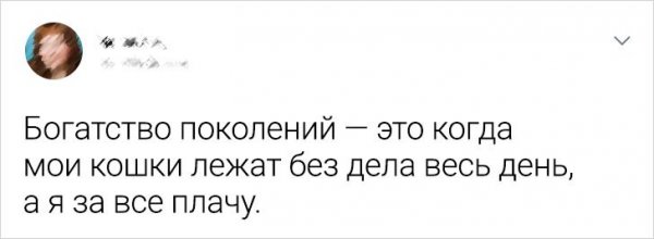 Подборка забавных твитов о домашних питомцах (20 фото)