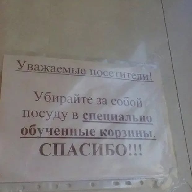 Странные и смешные объявления и вывески (15 фото)