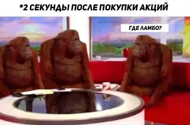 Шутки и мемы от инвесторов (15 фото)