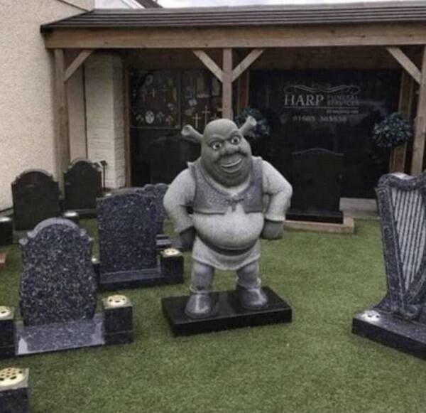 Фотографии из серии "Что здесь происходит?" (15 фото)