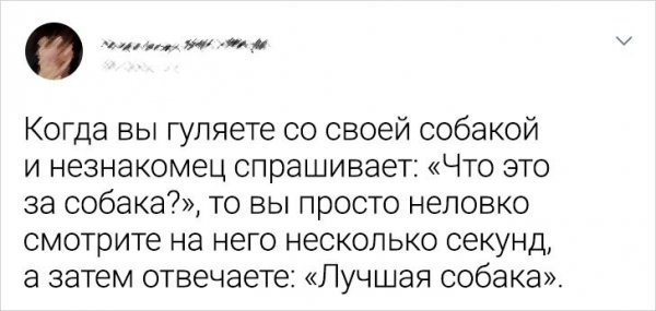 Подборка забавных твитов о домашних питомцах (20 фото)