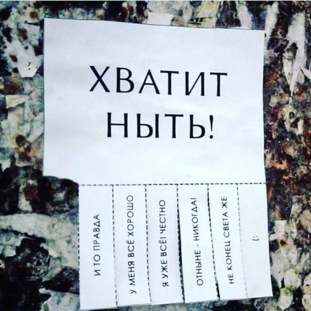 Странные и смешные объявления и вывески (15 фото)