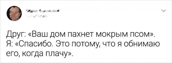 Подборка забавных твитов о домашних питомцах (20 фото)