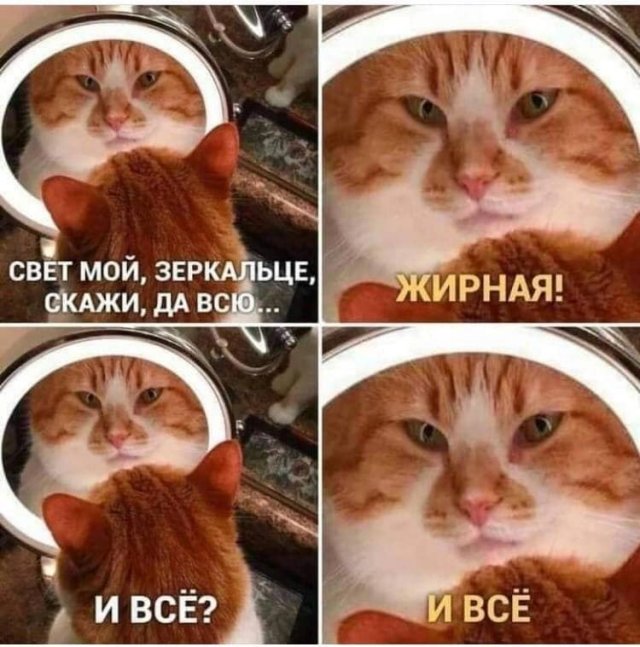 "Шерстяные" шутки и мемы (16 фото) "Шерстяные" шутки и мемы (16 фото)