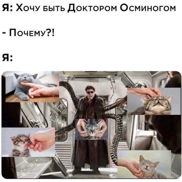 "Шерстяные" шутки и мемы (16 фото) "Шерстяные" шутки и мемы (16 фото)