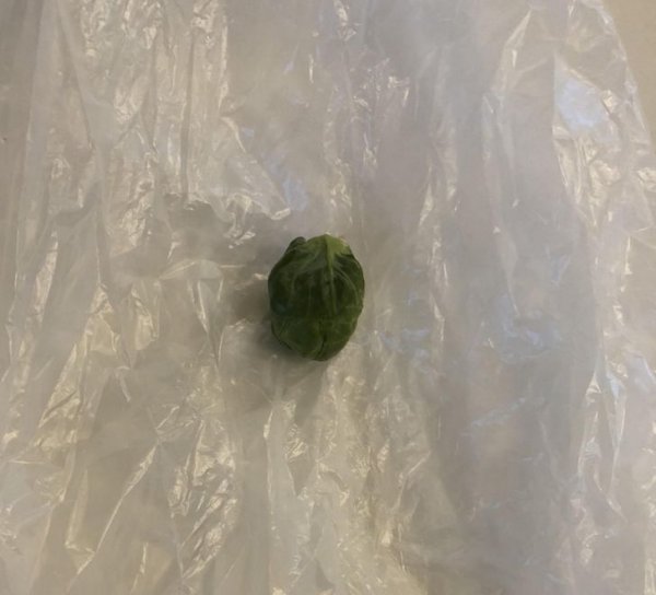 Люди, которые не справились с простейшими задачами (17 фото)