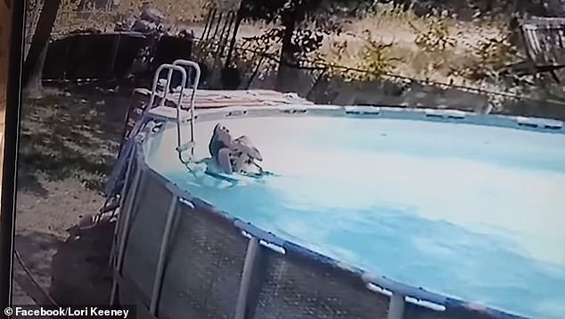 10-летний мальчик спас маму, у которой случился припадок в бассейне (5 фото + 1 видео)