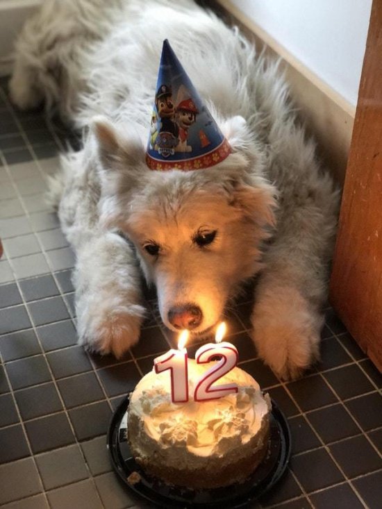 Подборка прикольных фотографий (86 фото)