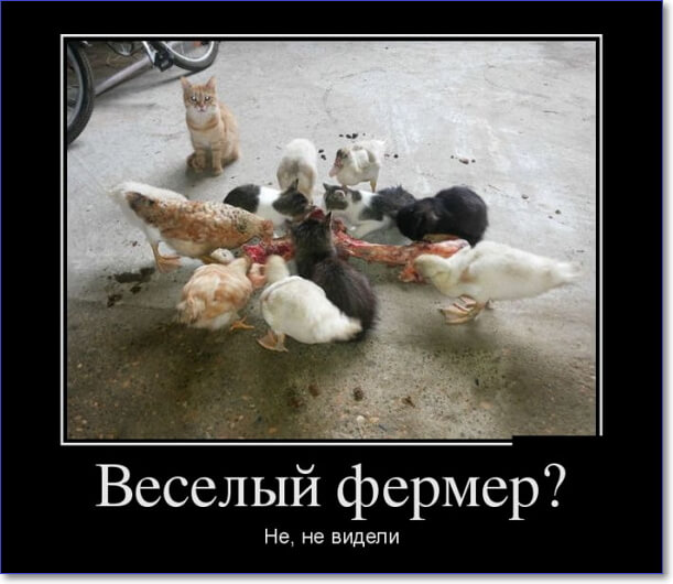 Забавные и очень смешные демотиваторы про девушек и не только