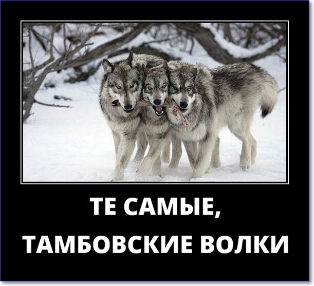 Прикольные демотиваторы