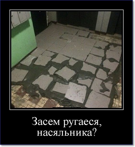 Забавные и очень смешные демотиваторы про девушек и не только