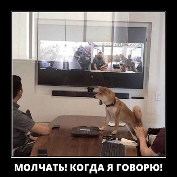 Свежие демотиваторы 2023 года из соцсети ВК Свежие демотиваторы 2023 года из соцсети ВК