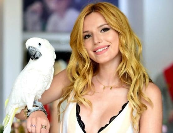 Белла Торн Белла Торн