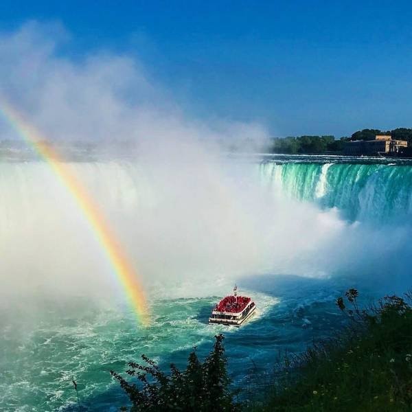 Подборка фото-приколов с надписями (89 фото)