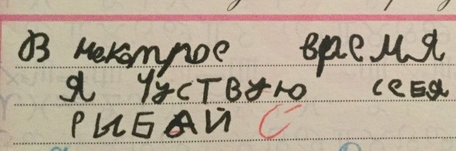Что пишут дети в своих дневниках (30 фото)