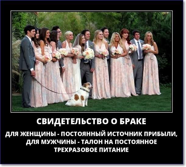 Забавные и очень смешные демотиваторы про девушек и не только