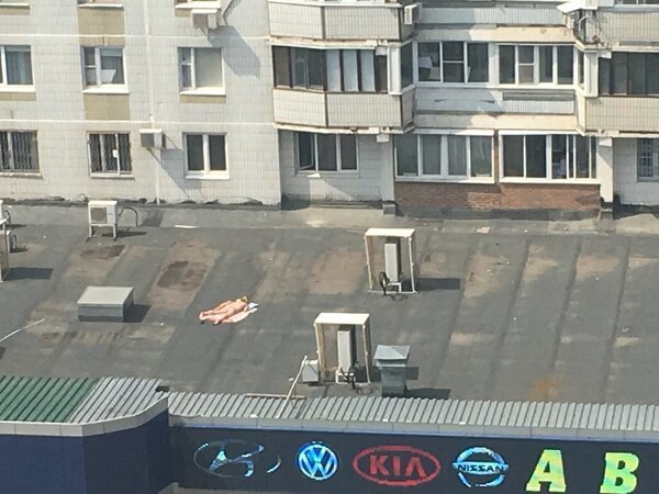 Сезон загара открыт! (19 фото)