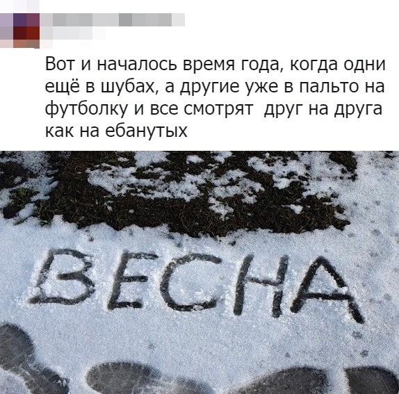 Скриншоты из социальных сетей (59 фото)