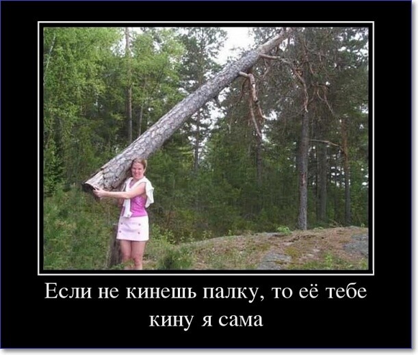Прикольные демотиваторы