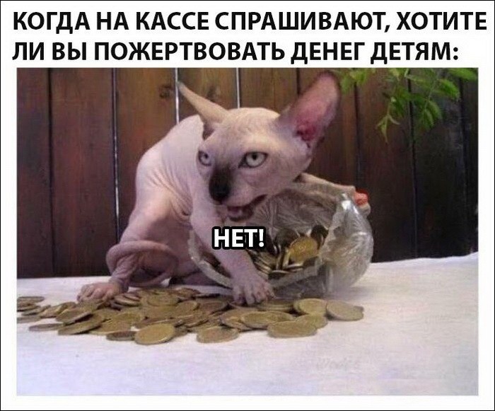 Подборка фото-приколов с надписями (89 фото)