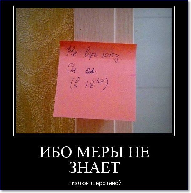 Забавные и очень смешные демотиваторы про девушек и не только