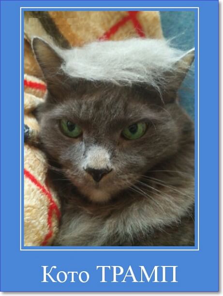 Забавные и очень смешные демотиваторы про девушек и не только